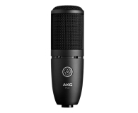AKG P120 - 687239 - zdjęcie 1